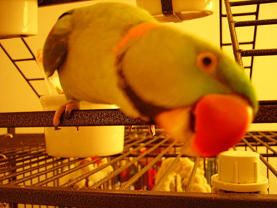 Image Image